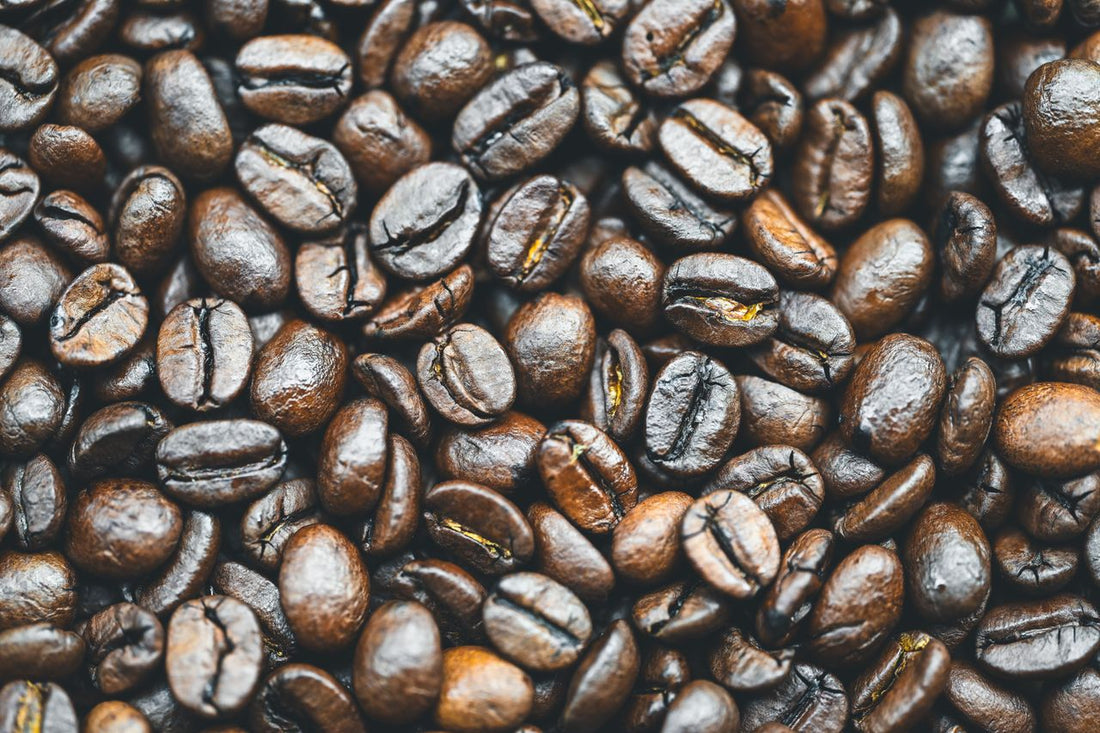 Everything You Need to Know About Arabica Coffee