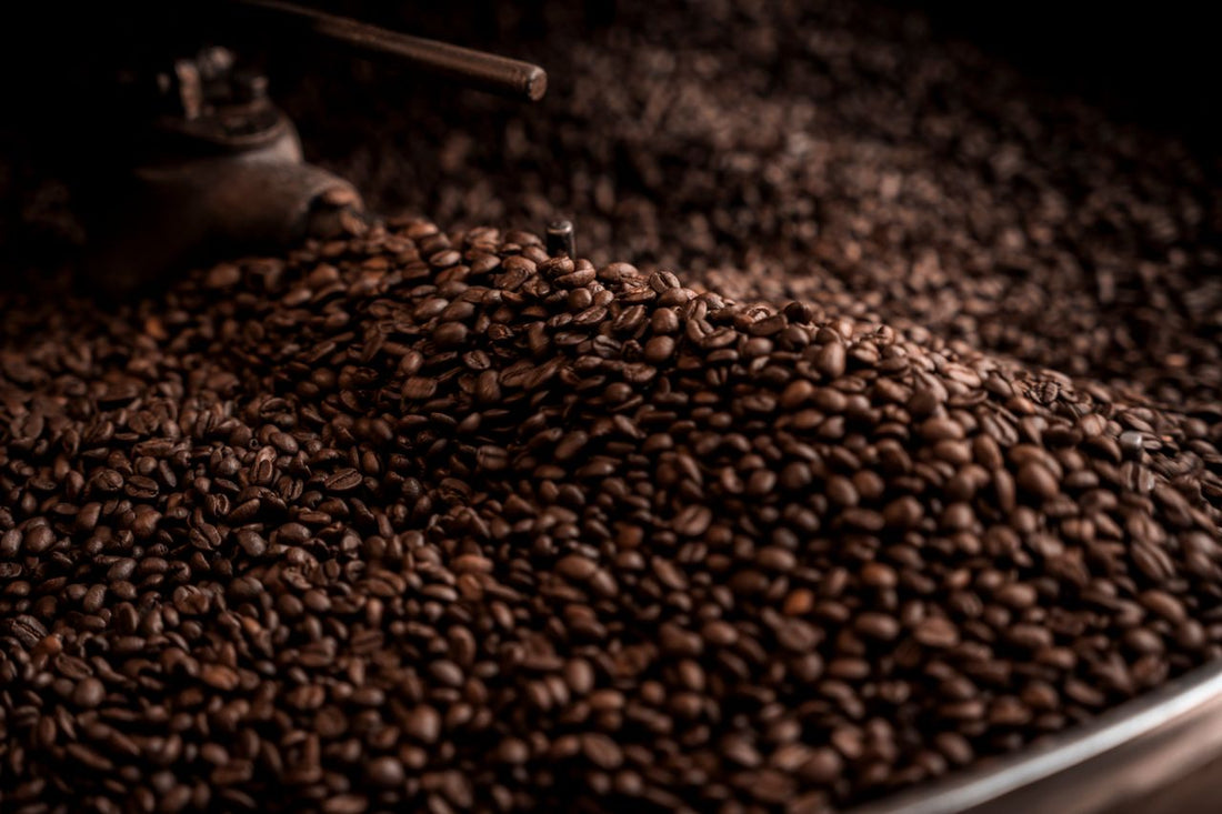 Why is Coffee Roasted? Understanding the Journey from Green Bean to Great Coffee